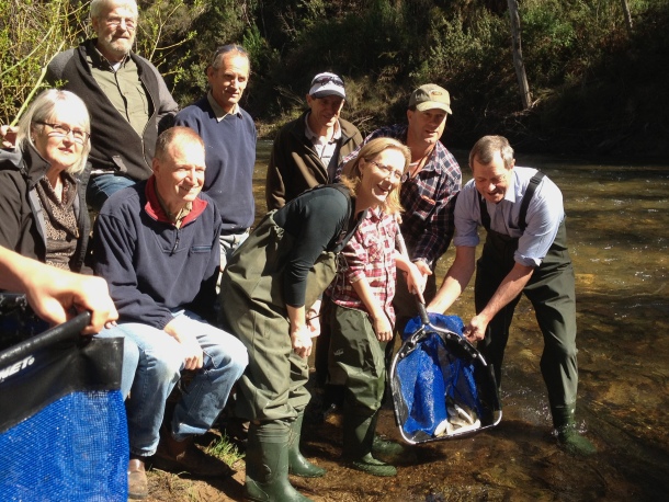 Trout stocking aims to curb decline